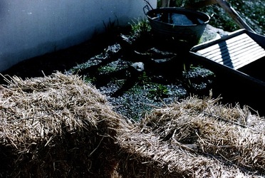 DIGITALIZZAZIONI fotografie di Giulio Azzarello &copy;2020.