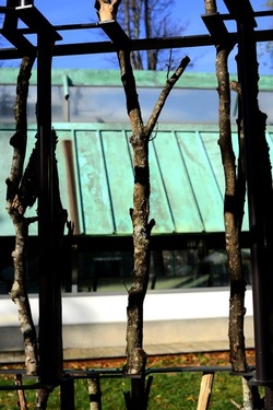 VENEZIA installazione lignea Giardini della Biennale di Arch. Cont. Fotografie di Giulio Azzarello &copy;2022.