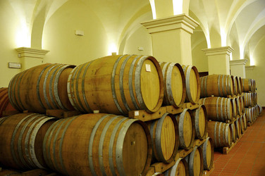 BOTTI per il vino. Fotografie di Giulio Azzarello ©2016. BOTTI per il vino. Fotografie di Giulio Azzarello ©2016.