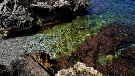 BAIA DEL CORALLO. Fotografie di Giulio Azzarello &copy;2022.