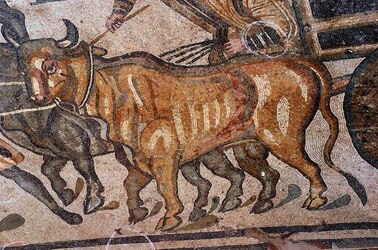 I MOSAICI della VILLA ROMANA DEL CASALE Piazza Armerina in Sicilia. Fotografie di Giulio Azzarello &copy;2014.