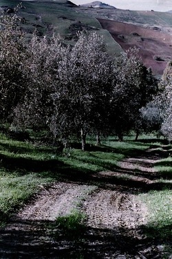 DIGITALIZZAZIONI fotografie di Giulio Azzarello &copy;2020.