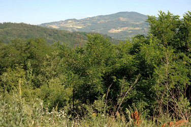 IL PARCO DELLA MEMORIA DI MONTESOLE Marzabotto . Fotografie di Giulio Azzarello &copy;2014.