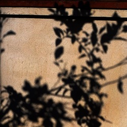 OMBRE di agosto. Fotografie di Giulio Azzarello &copy;2018.