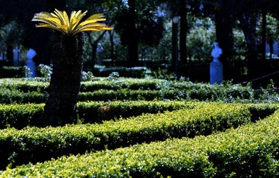 VILLA GIULIA Palermo. Fotografie di Giulio Azzarello &copy;2021.