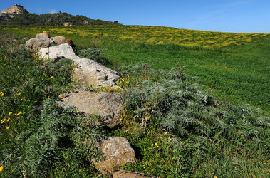 PAESAGGIO SICILIANO nel luogo delle macalube in Sicilia. Fotografie di Giulio Azzarello &copy;2014.