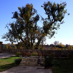 VICENZA La Rotonda di Andrea Palladio. Fotografie di Giulio Azzarello &copy;2022.
