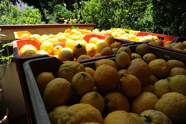PAESAGGIO SICILIANO in provincia di Enna. Fotografie di Giulio Azzarello &copy;2014.
