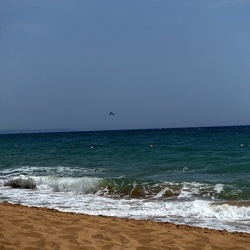 SELINUNTE. Fotografie di Giulio Azzarello &copy;2022.