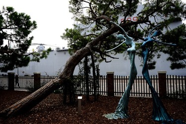 BIENNALE ARTI CONTEMPORANEE DI VENEZIA fotografie di Giulio Azzarello ©2020.