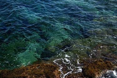 ARENELLA Fotografia di Giulio Azzarello ©2022.