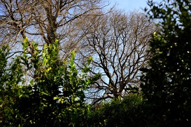 CAMPAGNA fotografie di Giulio Azzarello ©2020.