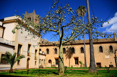 MACCHIA MEDITERRANEA in Sicilia. Fotografie di Giulio Azzarello &copy;2106.