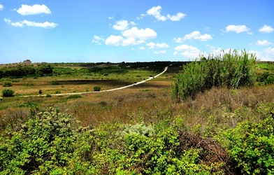 SELINUNTE sito archeologico. Fotografie di Giulio Azzarello ©2018. SELINUNTE sito archeologico. Fotografie di Giulio Azzarello ©2018.