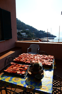 ISOLA DI USTICA il paese. Fotografie di Giulio Azzarello ©2016. ISOLA DI USTICA il paese. Fotografie di Giulio Azzarello ©2016.