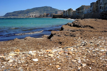 TRAPANI il centro storico il porto il mare la colombaia. Fotografie di Giulio Azzarello ©2014. TRAPANI il centro storico il porto il mare la colombaia. Fotografie di Giulio Azzarello ©2014.