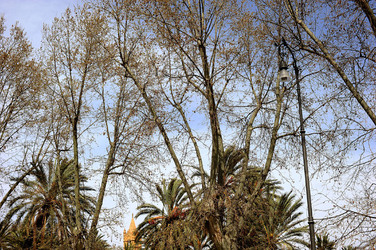 VILLA BONANNO a Palermo. Fotografie di Giulio Azzarello &copy;2016.