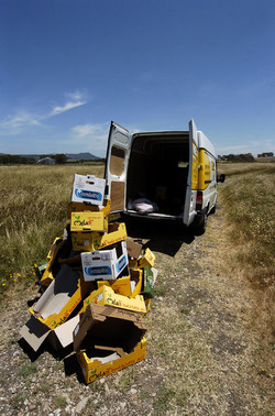 ARTE CONTEMPORANEA A PIRGI sito e riserva archeologica. Fotografie di Giulio Azzarello &copy;2014.