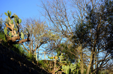 GOLE DELL ALCANTARA in Sicilia. Fotografie di Giulio Azzarello &copy;2016.