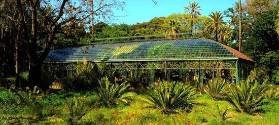 ORTO BOTANICO di Palermo nel maggio 2018. Fotografie di Giulio Azzarello &copy;2018.