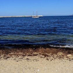 PALERMO. Fotografie di Giulio Azzarello ©2022. PALERMO. Fotografie di Giulio Azzarello ©2022.