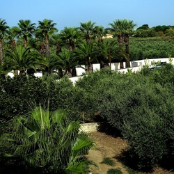 SELINUNTE. Fotografie di Giulio Azzarello ©2022. SELINUNTE. Fotografie di Giulio Azzarello ©2022.