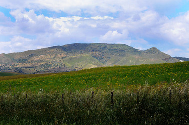 PAESAGGIO SICILIANO in provincia di Enna. Fotografie di Giulio Azzarello &copy;2014.