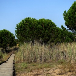 SELINUNTE. Fotografie di Giulio Azzarello ©2022. SELINUNTE. Fotografie di Giulio Azzarello ©2022.