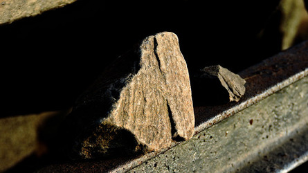 AUSCHHWITZ BIRKENAU la commemorazione. Fotografie di Giulio Azzarello &copy;2016.