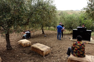 ULIVETO SICILIANO. Fotografie di Giulio Azzarello ©2022.