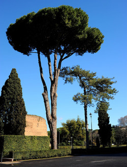 LE TERME DI CARACALLA a Roma visioni panoramiche o particolari. Fotografie di Giulio Azzarello &copy;2014.