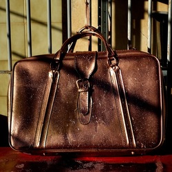 NATURE MORTE. Fotografie di Giulio Azzarello ©2024. NATURE MORTE. Fotografie di Giulio Azzarello ©2024.