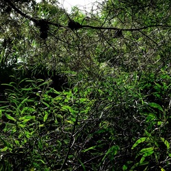 SELINUNTE. Fotografie di Giulio Azzarello ©2022. SELINUNTE. Fotografie di Giulio Azzarello ©2022.