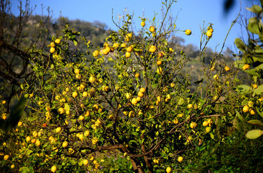 GOLE DELL ALCANTARA in Sicilia. Fotografie di Giulio Azzarello &copy;2016.