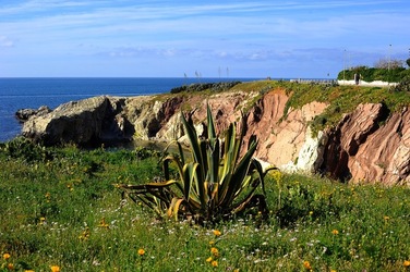PAESAGGIO SICILIANO Terrasini. Fotografie di Giulio Azzarello &copy;2018.