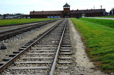 AUSCHIWITZ BIRKENAU il luogo della storia il campo. Fotografie di Giulio Azzarello &copy;2016.