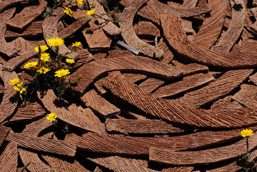 ARTE CONTEMPORANEA A PIRGI sito e riserva archeologica. Fotografie di Giulio Azzarello &copy;2014.