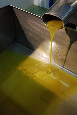 TIPICO FRANTOIO fotografie di Giulio Azzarello ©2014. TIPICO FRANTOIO fotografie di Giulio Azzarello ©2014.