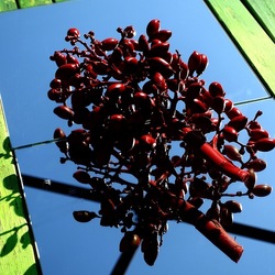 SPECCHIATI. Fotografia di Giulio Azzarello ©2023. SPECCHIATI. Fotografia di Giulio Azzarello ©2023.