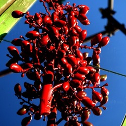 SPECCHIATI. Fotografia di Giulio Azzarello ©2023. SPECCHIATI. Fotografia di Giulio Azzarello ©2023.