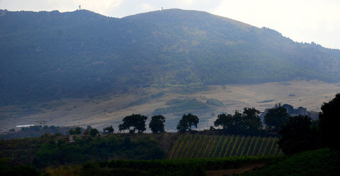 CAMPAGNA SICILIANA. Fotografie di Giulio Azzarello &copy;2016.