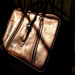 NATURE MORTE. Fotografie di Giulio Azzarello ©2024. NATURE MORTE. Fotografie di Giulio Azzarello ©2024.