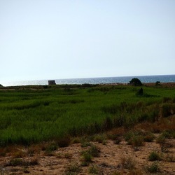 SELINUNTE. Fotografie di Giulio Azzarello ©2022. SELINUNTE. Fotografie di Giulio Azzarello ©2022.