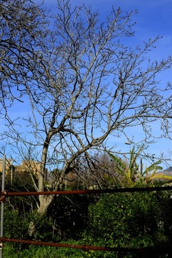 CAMPAGNA fotografie di Giulio Azzarello ©2020.