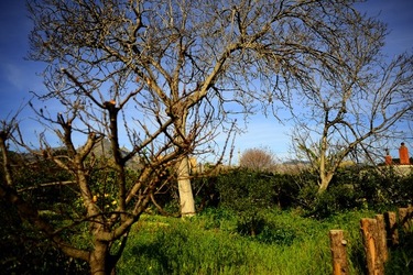 CAMPAGNA fotografie di Giulio Azzarello ©2020.