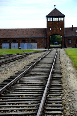 AUSCHIWITZ BIRKENAU il luogo della storia il campo. Fotografie di Giulio Azzarello &copy;2016.