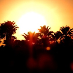 SELINUNTE. Fotografie di Giulio Azzarello ©2022. SELINUNTE. Fotografie di Giulio Azzarello ©2022.