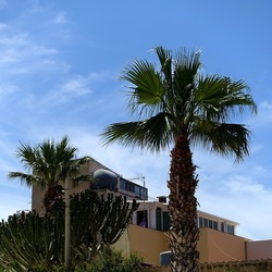 SAN VITO LO CAPO. Fotografie di Giulio Azzarello &copy;2023.