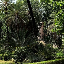 PALERMO. Fotografie di Giulio Azzarello &copy;2022.