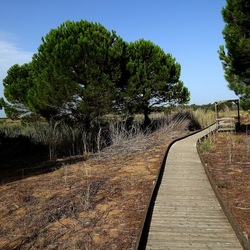 SELINUNTE. Fotografie di Giulio Azzarello ©2022. SELINUNTE. Fotografie di Giulio Azzarello ©2022.